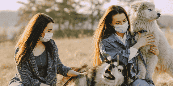 animal care