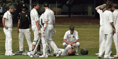 Cricket