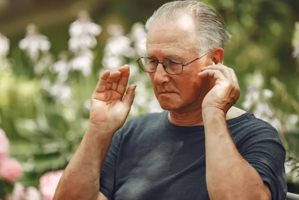 Why Mental Health in the Elderly Matters More Than Ever?